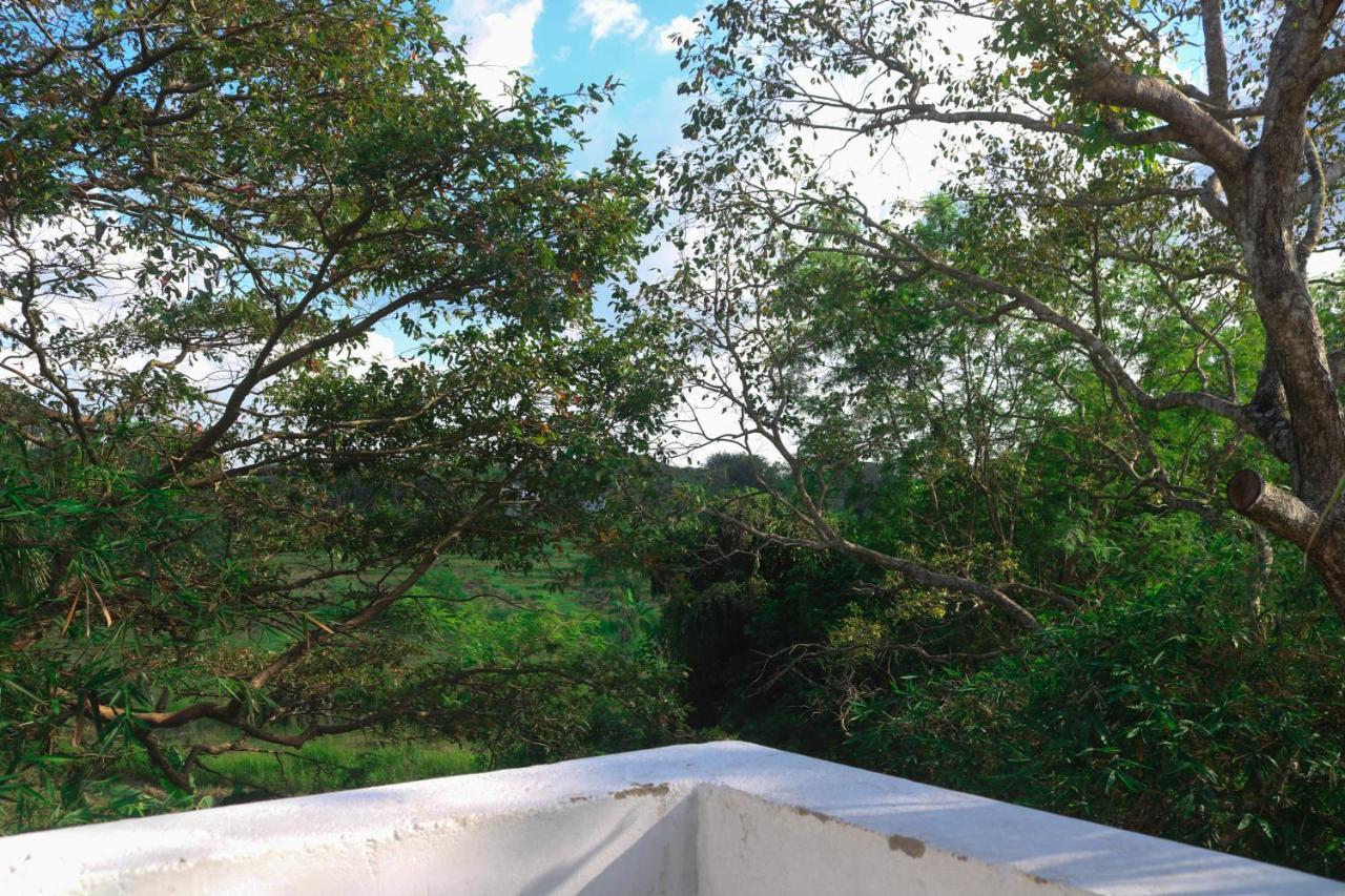 Divine Villa Anuradhapura Eksteriør billede